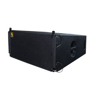 VERA36 Double 10 Inch Three Way Line Array Speaker