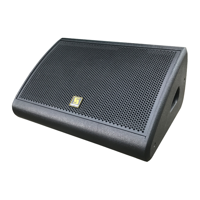 speaker 12 inch low