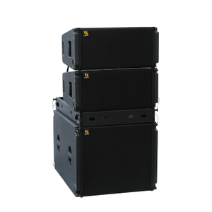 Vera20 Dual 10'' 2 Way Line Array Speaker